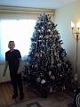 Alesha and New Year tree  5